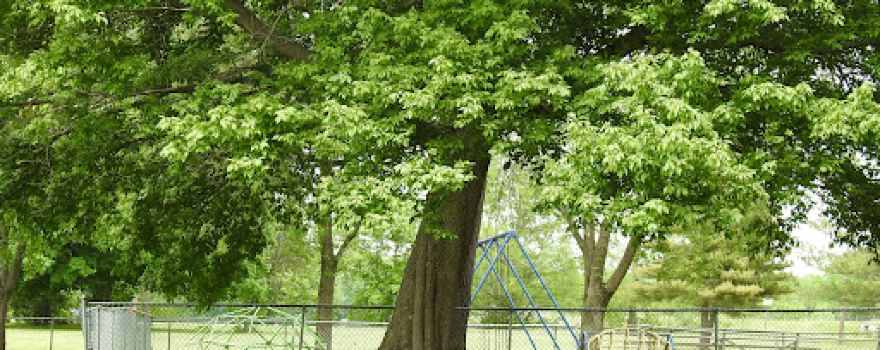Hurie Park
