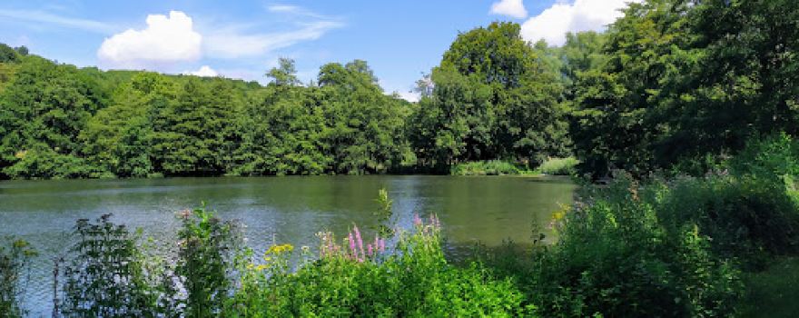 Parc de Rouelles (Arboretum)