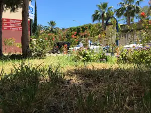 Atatürk Parkı