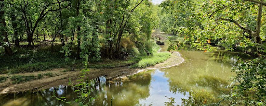 Middle Fork River Forest Preserve - Old Miner's Trail
