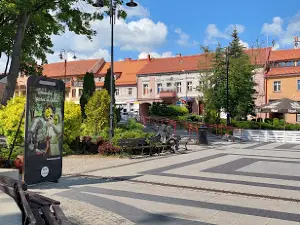 Ławeczka Janusza Panasewicza w Olecku