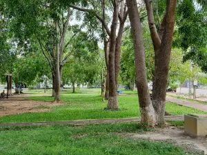 Youth Park
