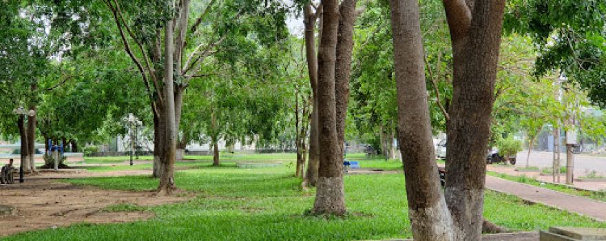 Youth Park