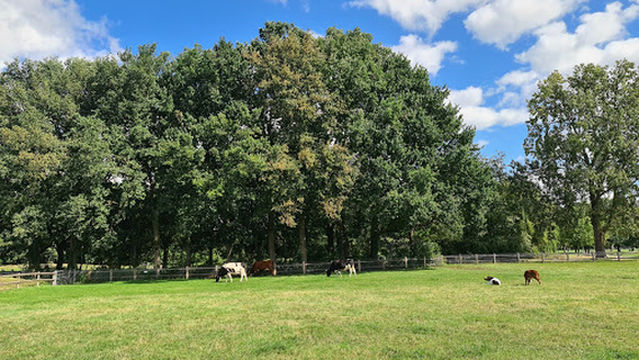 Stadsboerderij Presikhaaf