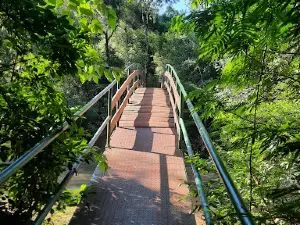 NATURAL MUNICIPAL SALTO CAPIOVÍ "Don Alberto Nobs" Park