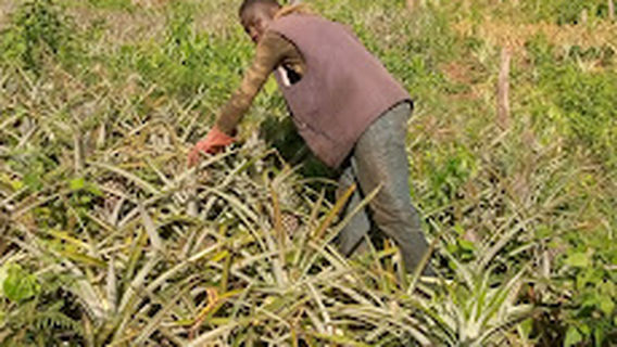 Awae village -Plaque Nationale N10