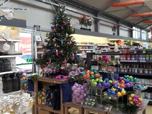 bellaflora Steyr