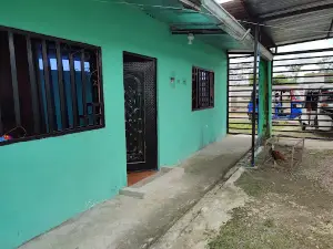 Estadio San Carlos