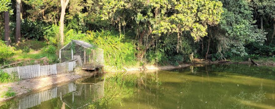 Parque do Paço
