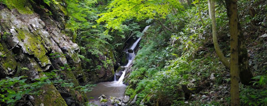 野土路の水