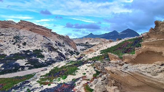 Dunas do Porto Santo