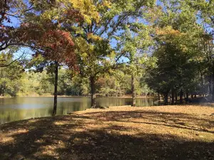 Taylor Lake Campground