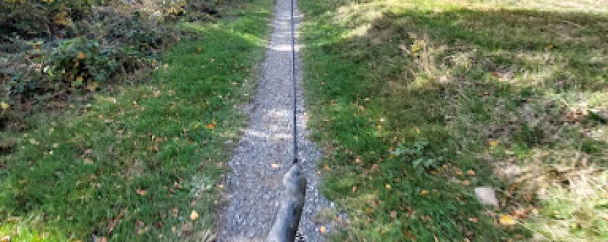 Blackmountain Bikepark