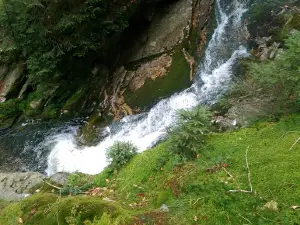 Bílá strž