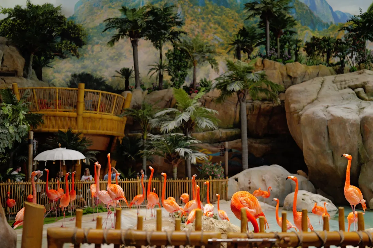4_SeaWorld® Yas Island