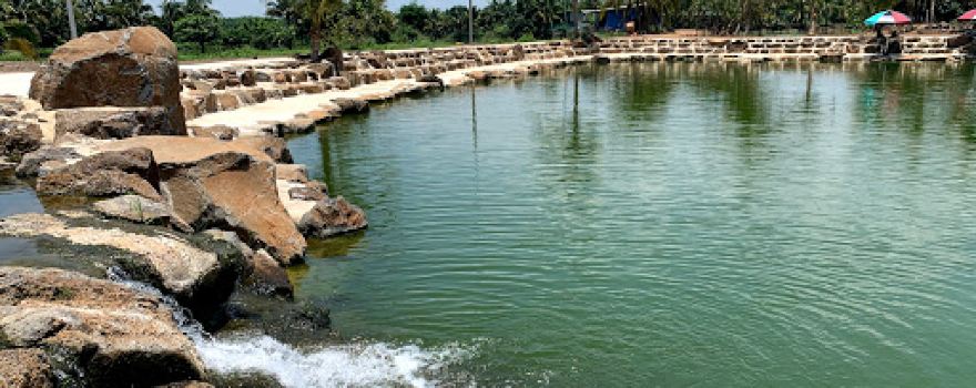 Sinh thái vườn năm bưu suối mơ