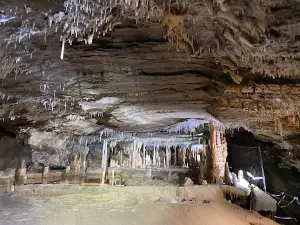 Royal Cave - Buchan Caves