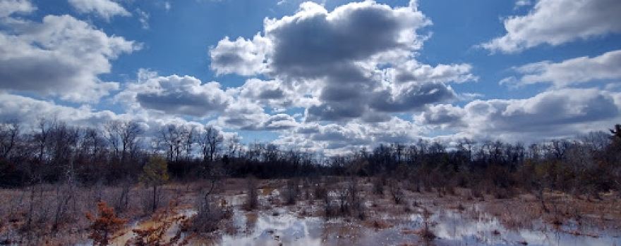 Quarry Hill Park