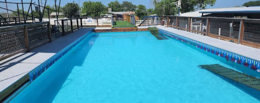 K9 Water World