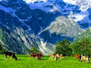 Chukail Meadows