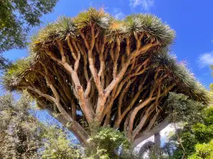 Botanical Gardens