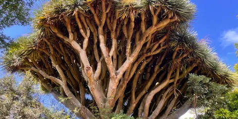 Makana Botanical Gardens