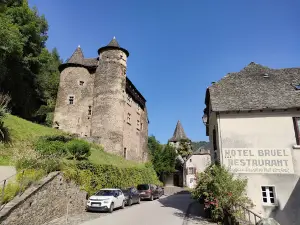 Chateau Moyenâgeux de Vieillevie