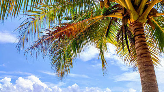 Villa Gelombang Pantai Paka