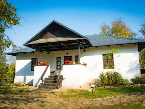 Memorialul Ipotesti Centrul National de Studii "Mihai Eminescu"