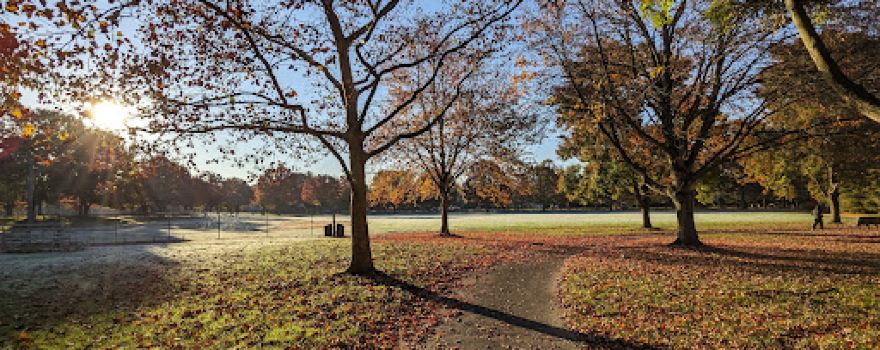 Morris Davison Park