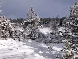 Station de ski aubrac sud