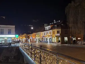 Kino Historyczne Narew