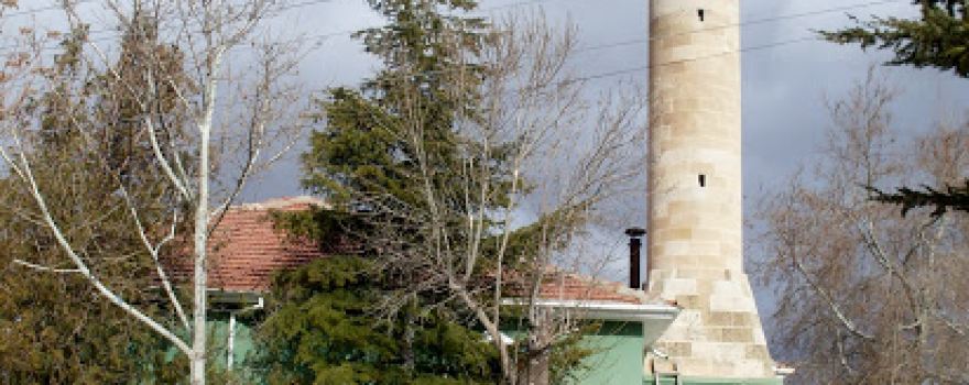 Oba Cami
