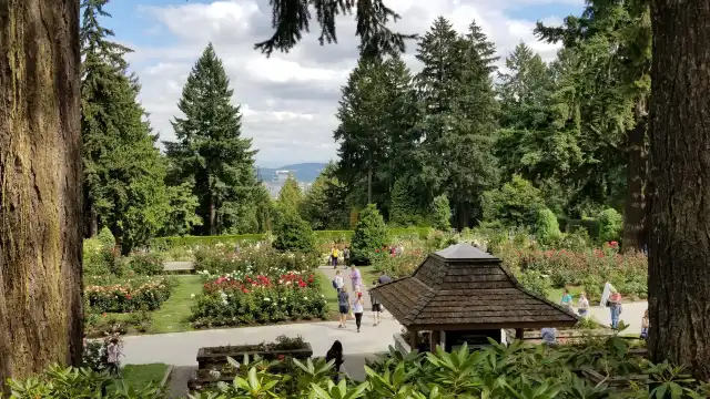 Hotels near Washington Park