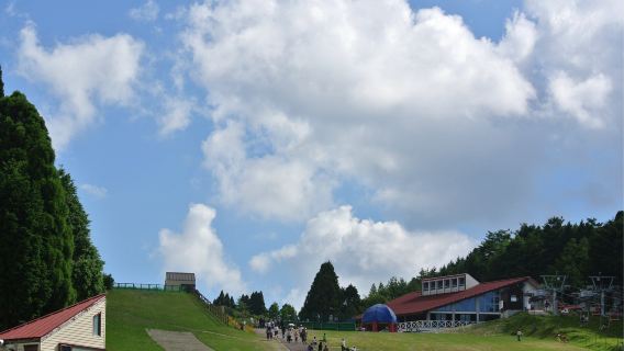 Japan + Hokkaido + Niseko Ski Resort Private Transfer with Flexible Itinerary