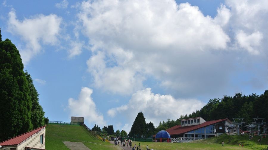 日本+神戶北野異人館街+神戶動物王國+生田神社+神戶市立六甲山牧場一日遊