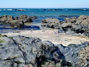 Amorosa Beach
