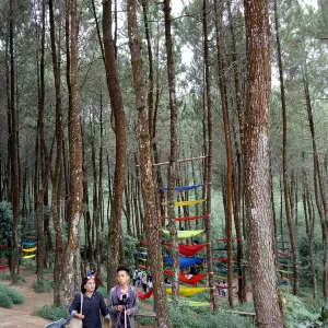 Top Selfie Pinusan Kragilan