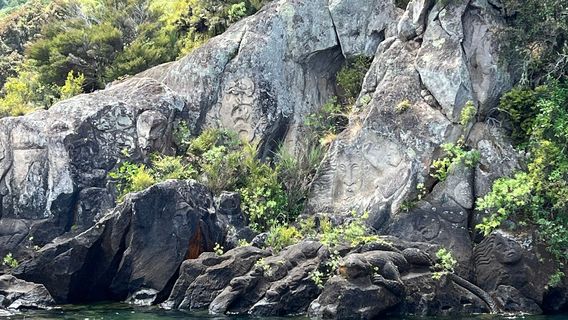 Taupo