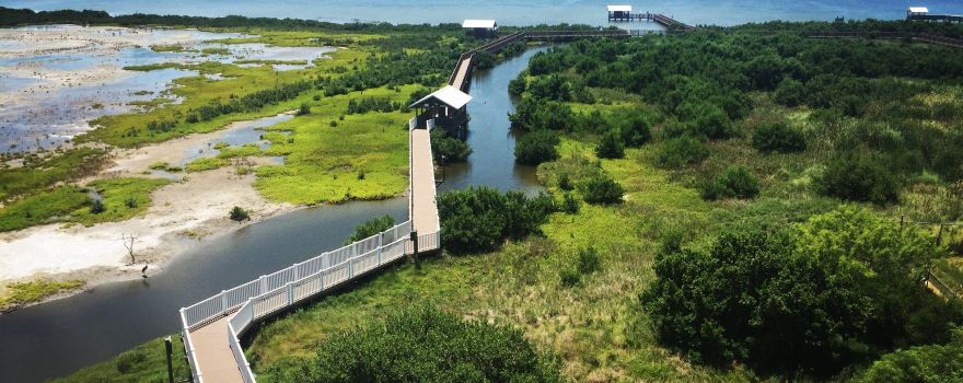 South Padre Island Birding And Nature Center