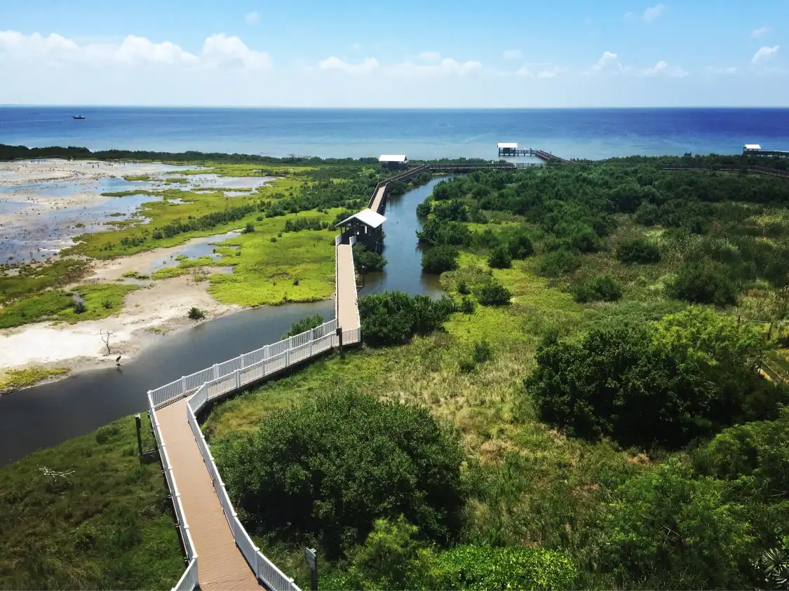 Hotels near South Padre Island Birding And Nature Center