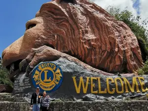 Lion’s Head