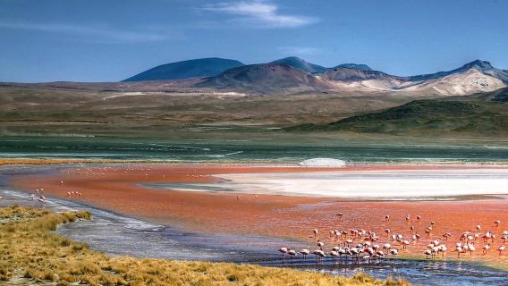Laguna Colorada