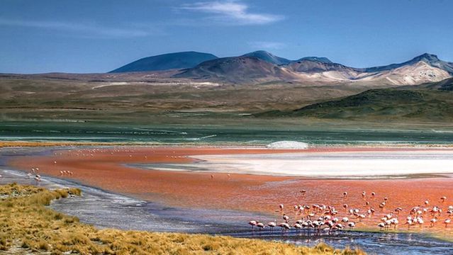 Laguna Colorada