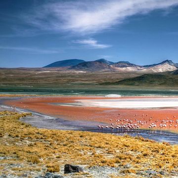 Laguna Colorada