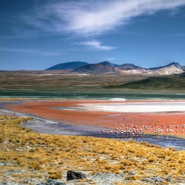 Laguna Colorada