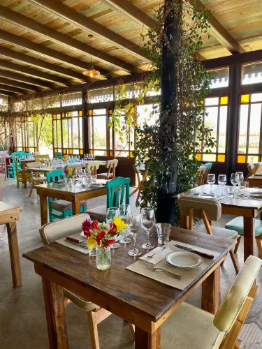 Tupungato Department