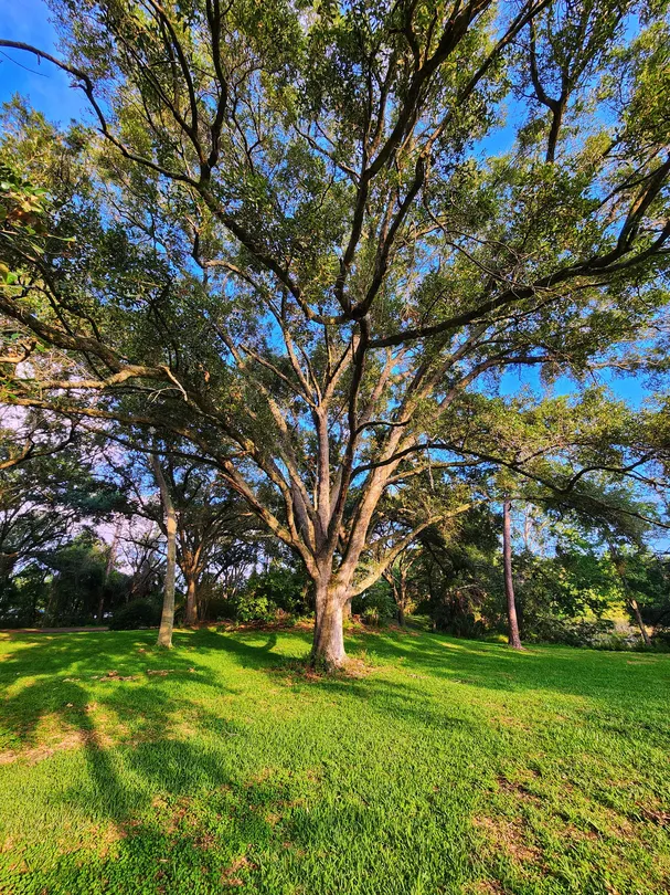 4_Sawgrass Lake Park
