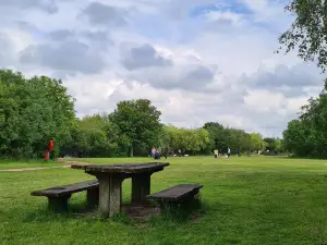 Chasewater Country Park
