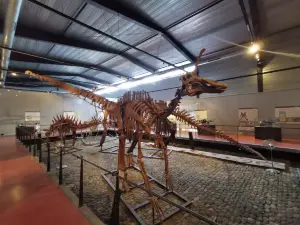 Musee des Dinosaures 'Dinosauria'
